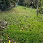 Am Geiseltalsee Holiday home *