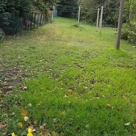 Am Geiseltalsee Semesterbostad *