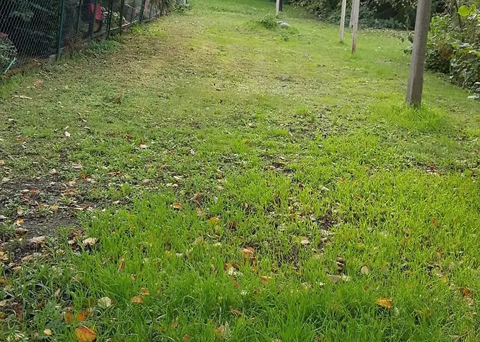 Am Geiseltalsee Дом отдыха *